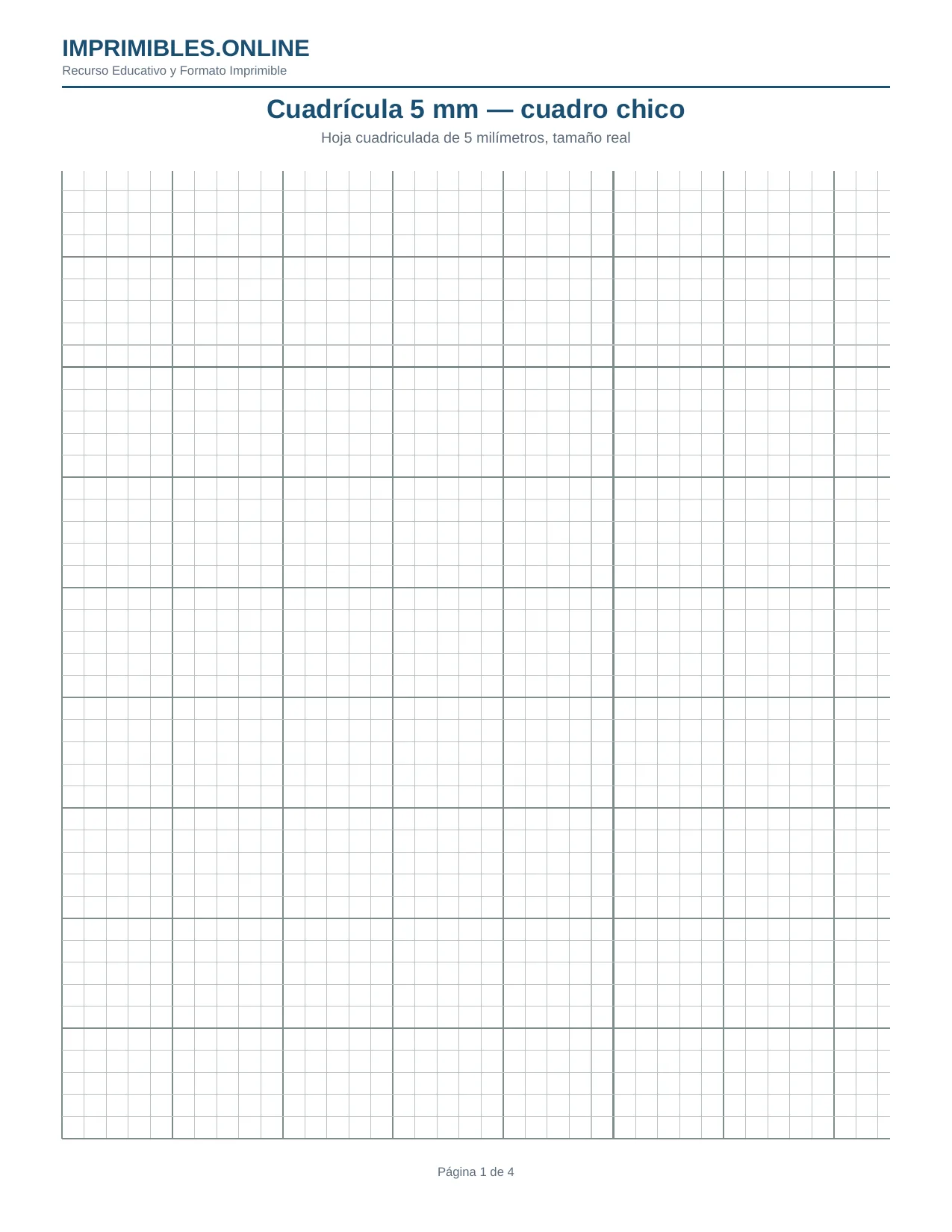 Cuadrícula 5Mm Cuadro Chico en PDF - Página 1